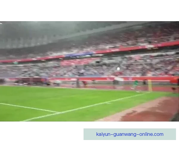 哈曼世界杯前最后一战后严批德国足协管理失误